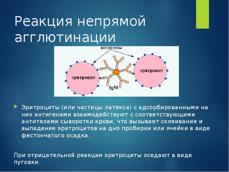 Иммунодиагностика микробиология презентация