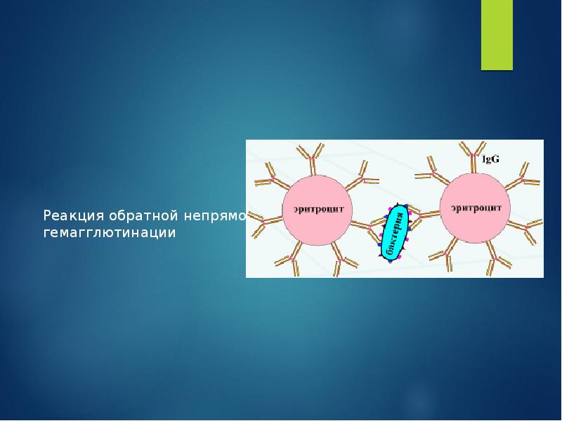 Иммунодиагностика микробиология презентация