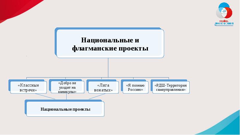 Проекты рдш по направлениям