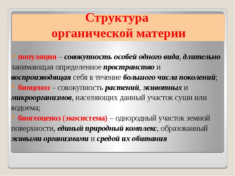 Специальная совокупность. Популяция это совокупность особей одного вида длительно. Органическая структура общества. Структура органического мира. Количество в философии это.