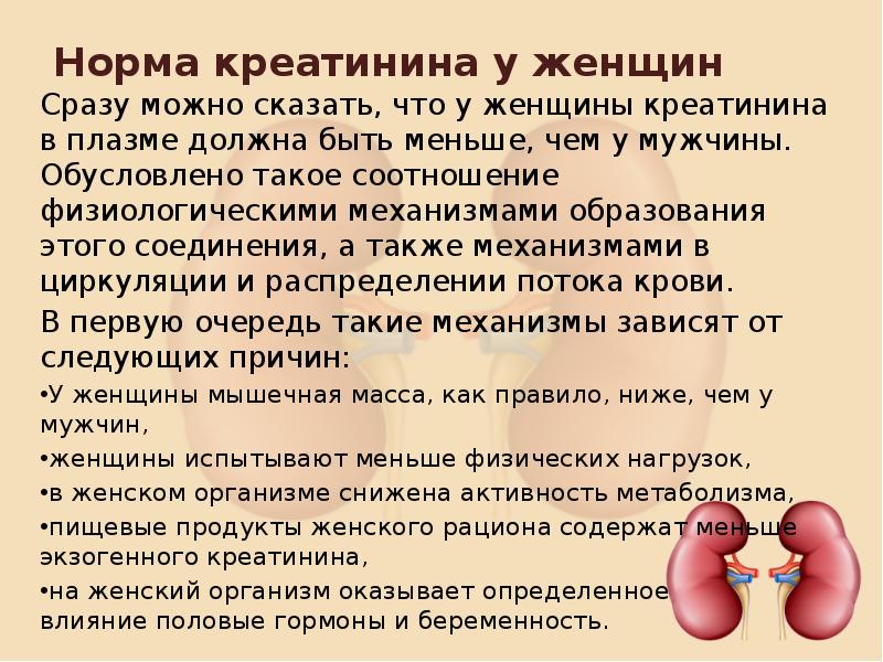 Низкий креатинин у мужчины. Показатели почек креатинин. Норма креатинина. Норма креатинина у женщин. Креатинин норма у женщин.