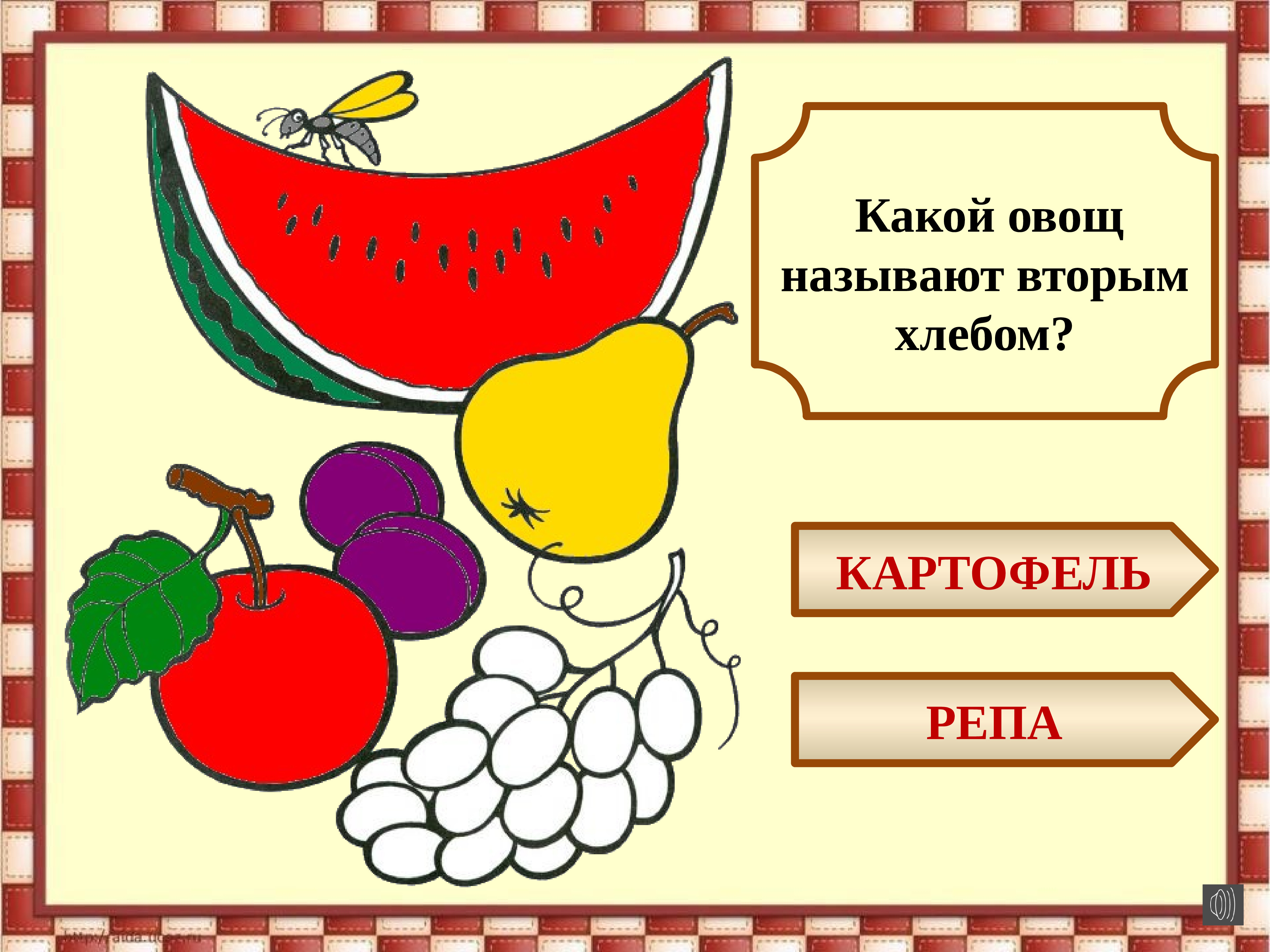 Какой овощ называли. Корнеплоды список овощей. Какой овощ называли. Какой овощ называли. Какой овощ называли.