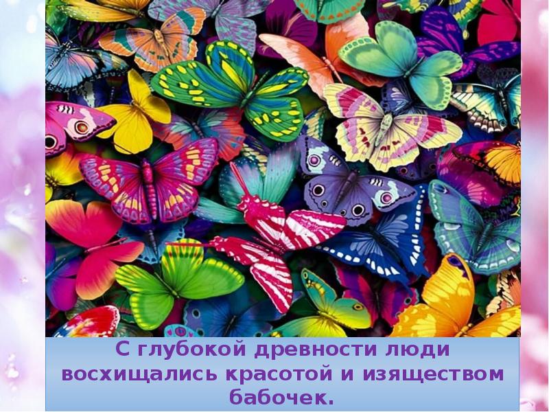 С глубокой древности люди восхищались красотой и изяществом бабочек.