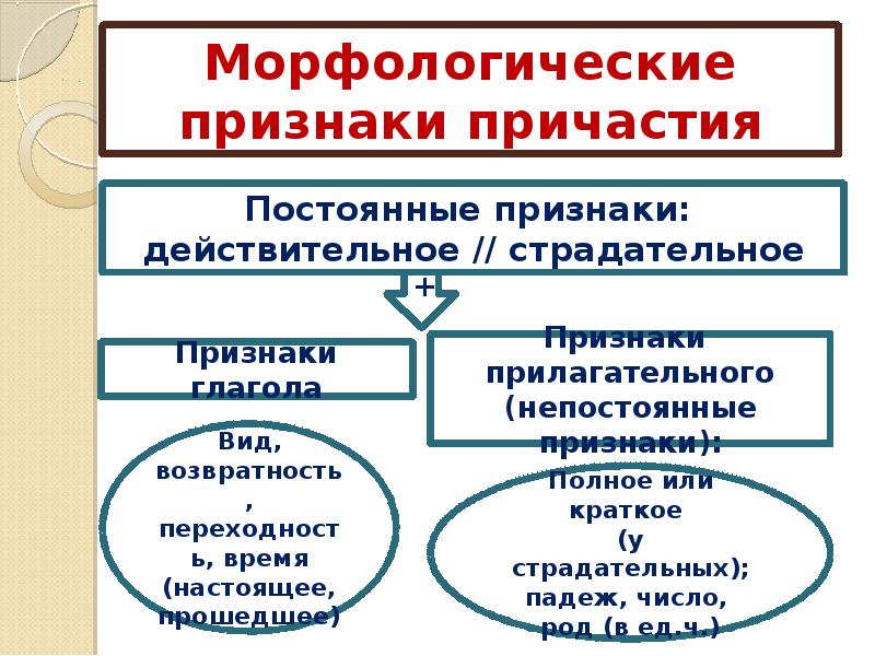 Признаки прилагательного и глагола у причастия презентация 7 класс