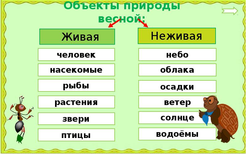 Предмет другими словами. Живая или неживая природа. Объекты природы. Объекты неживой природы. Живая или не жива природа.