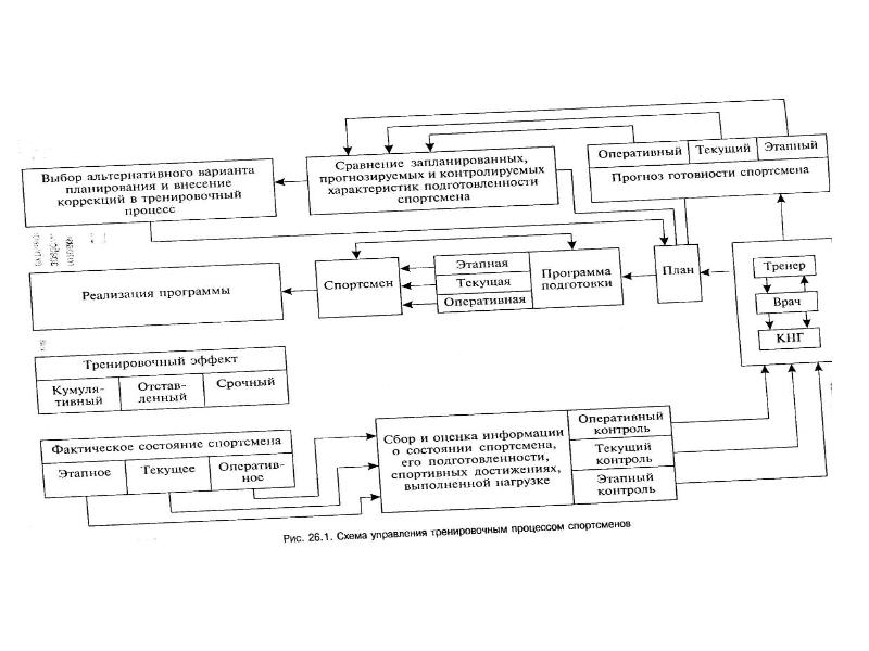 Управление процессом подготовки спортсменов презентация