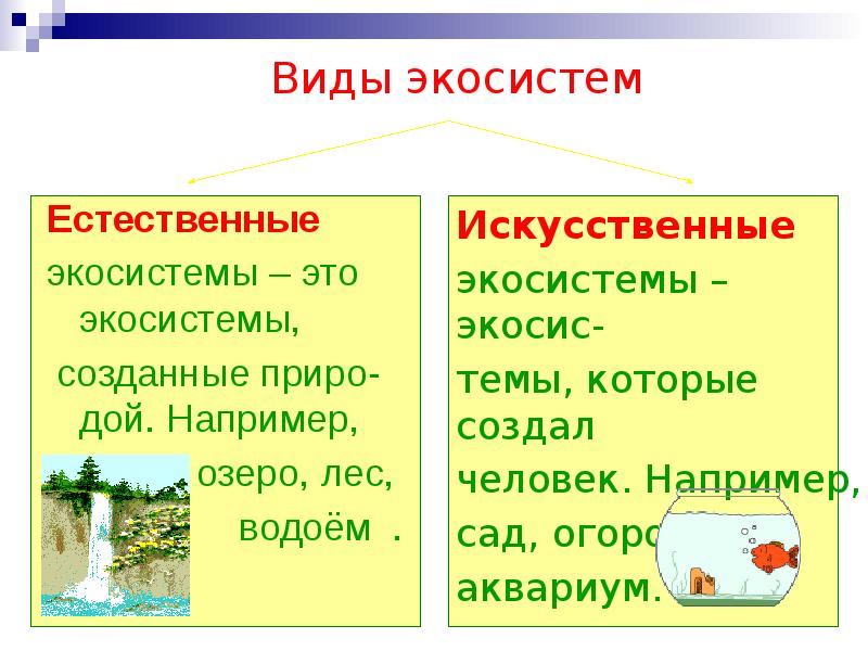 Природная экосистема презентация