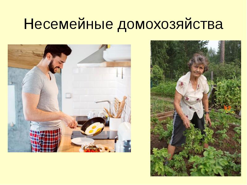 Несемейные домохозяйства Несемейные домохозяйства