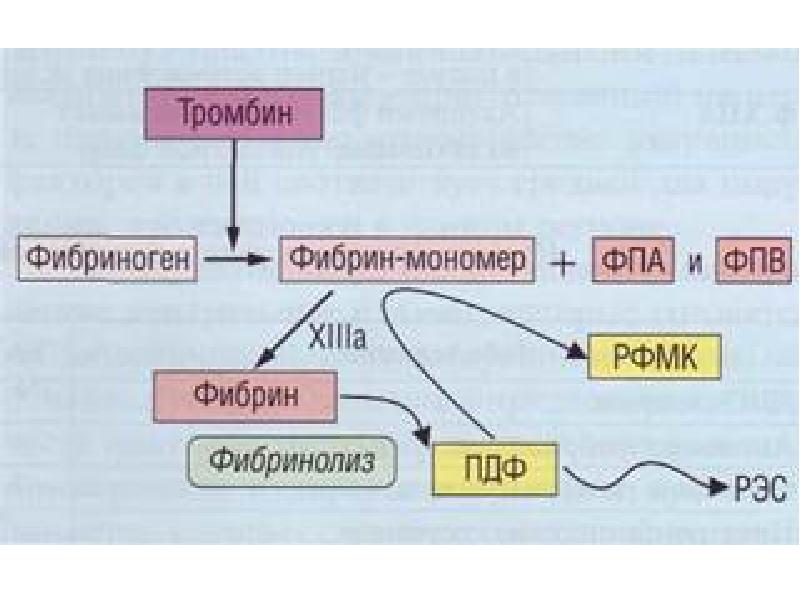 Схема образования фибрина