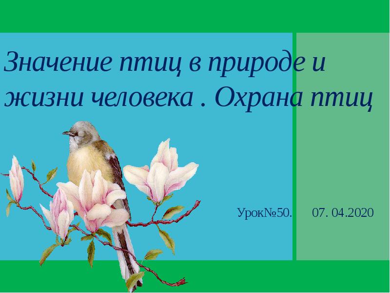 Охраняем птиц в природе и жизни человека. Значение птиц в природе и жизни человека. Охрана птиц. Значение птиц в жизни человека.