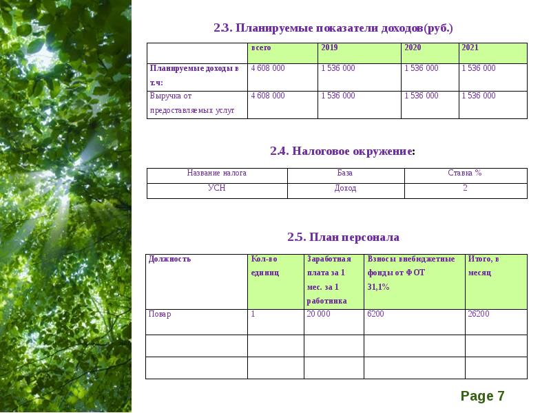 Бизнес план туризм презентация