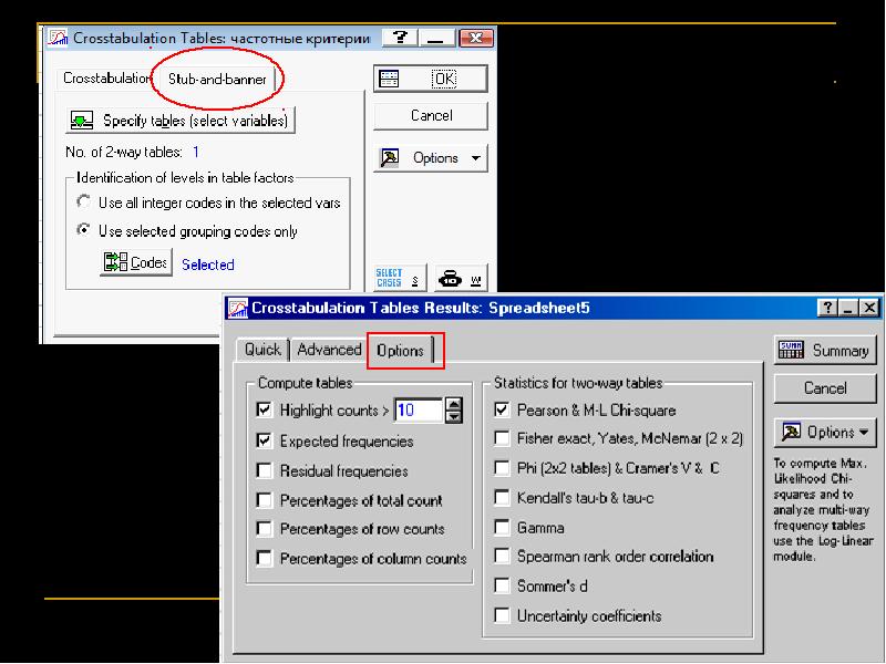 Option computer. Кросстабуляция. Column-count.