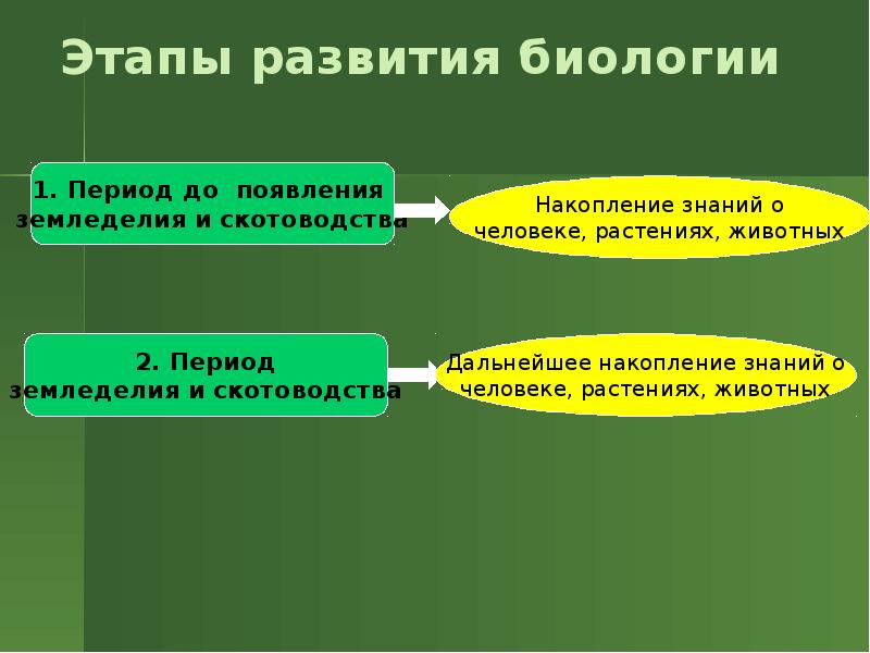 История развития биологии проект 10 класс