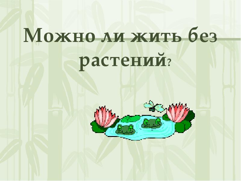 Урок общие признаки разнообразие распространение значение растений