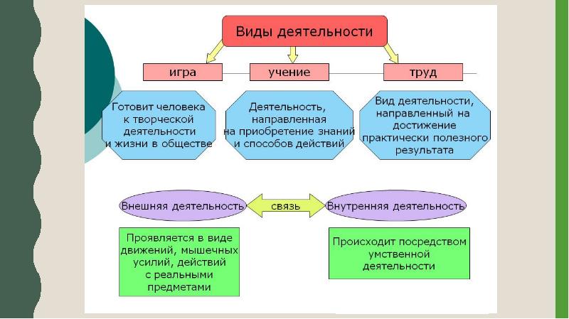 Магазин 1 Вид Деятельности