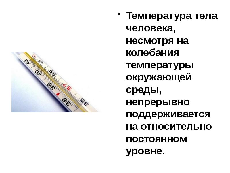 Презентация температура тела человека