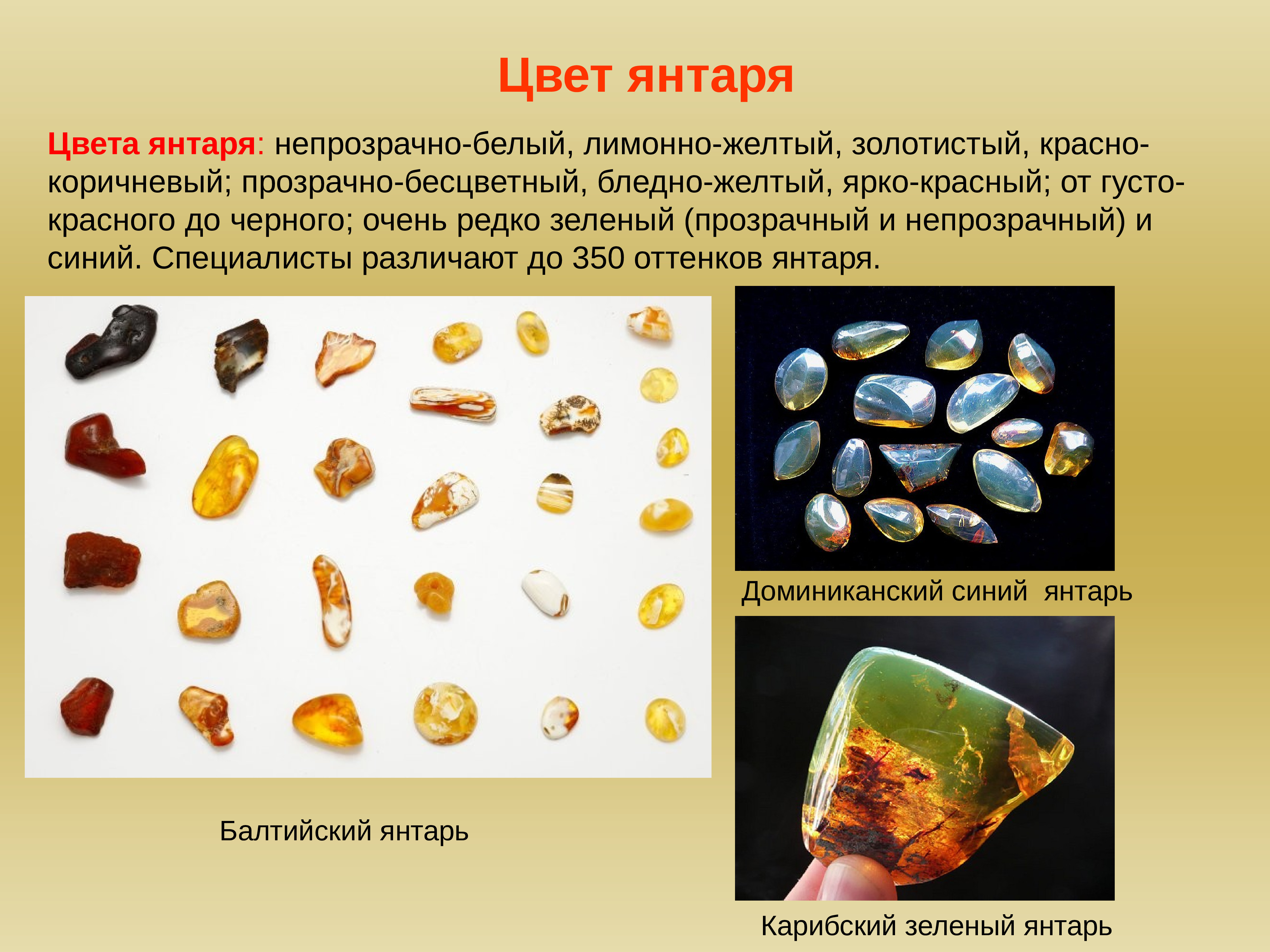 янтарь польша