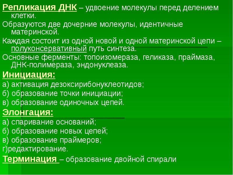 Образуются клетки идентичные материнской. Образуются дочерние клетки идентичные материнской. Удвоение ДНК перед делением клетки. ДНК удваивается перед делением клетки. Из одной материнской клетки образуется.