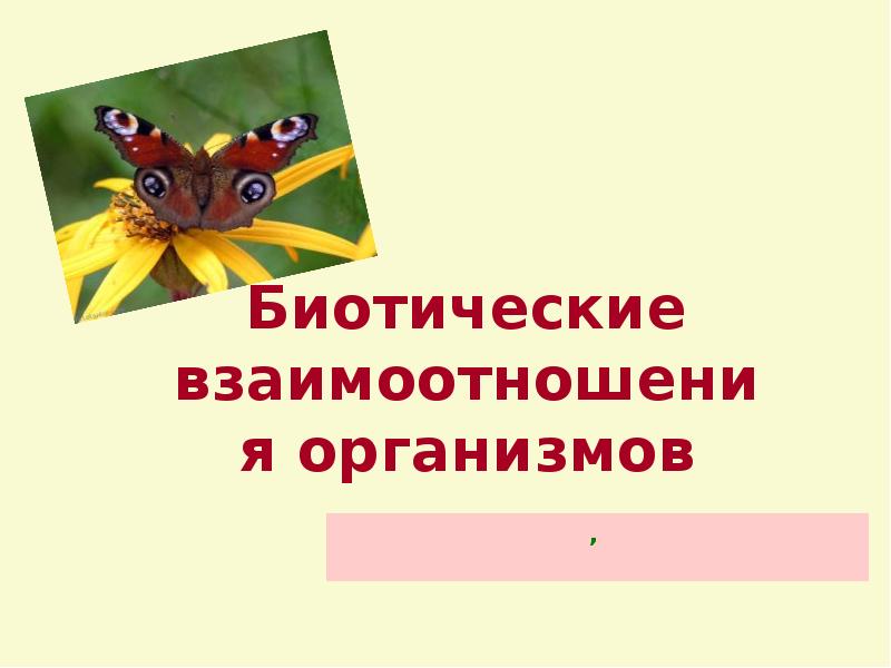 Типы взаимодействия организмов презентация