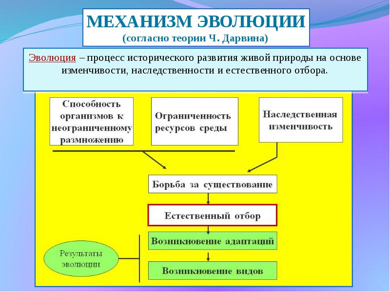 Схема движущей силы эволюции