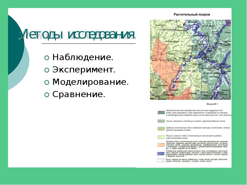 Презентация растительный и животный мир башкортостана