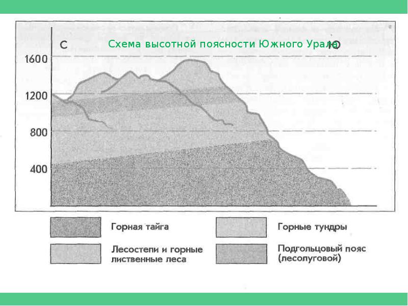 Используя схемы высотной поясности установите набор высотных поясов в горах урала и южной сибири