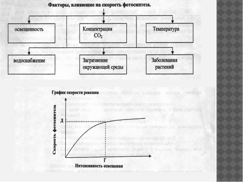 Процессы синтеза в живых клетках 11 класс презентация урока