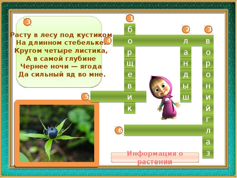 опасные растения липецкой области. картина опасных травах. агератина железистая. сок цикуты. алтайская травка ядовитая.