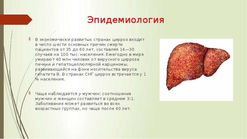 Печень после гепатита с. Субкомпенсированный цирроз печени. Печень больного циррозом печени.