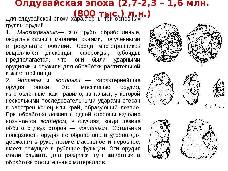 Какого типа изображения характерны для палеолита