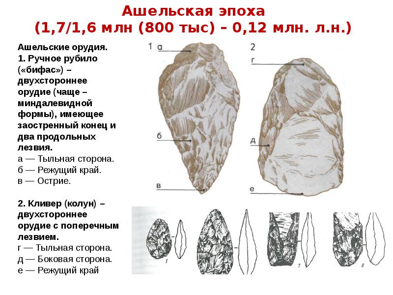 Какого типа изображения характерны для палеолита