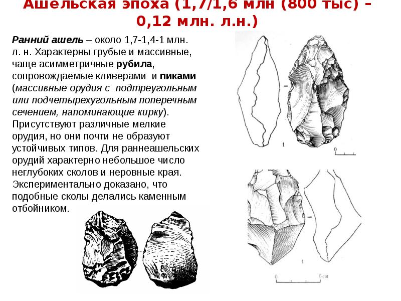 Какого типа изображения характерны для палеолита