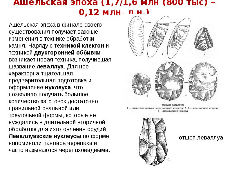 Какого типа изображения характерны для палеолита