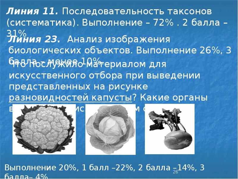 Что послужило материалом для искусственного отбора при выведении представленных на рисунке капусты