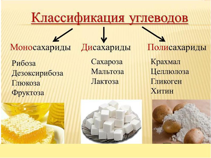 Презентация по теме углеводы