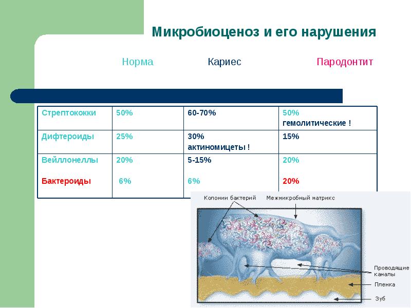 Микробиоценоз это. Микробиоценоз. Микробиоценоз факторы. Микробиоценоз структура. Микробиоценоз экотопов.