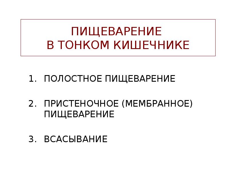 Полостное и пристеночное пищеварение в тонкой кишке. Пристеночное и мембранное пищеварение. Пристеночное пищеварение в тонком кишечнике. Мембранное пищеварение в тонком кишечнике. Полостное пищеварение картинки.