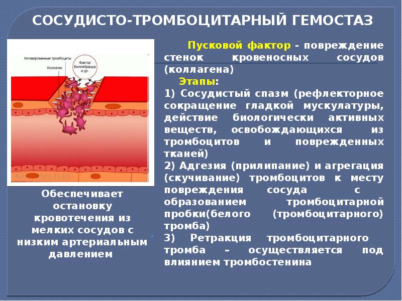 Сосудисто тромбоцитарный гемостаз схема