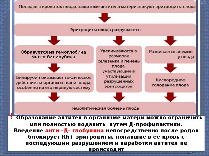 Индивидуальный проект дисциплина в колледже