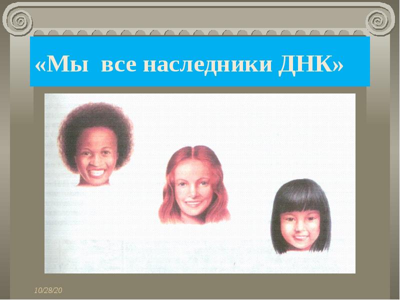 «Мы все наследники ДНК»