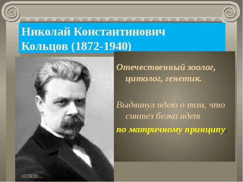 Николай Константинович
Кольцов (1872-1940)
Отечественный зоолог, цитолог, генетик.
Выдвинул идею о том, что синтез белка идет
по матричному принципу.