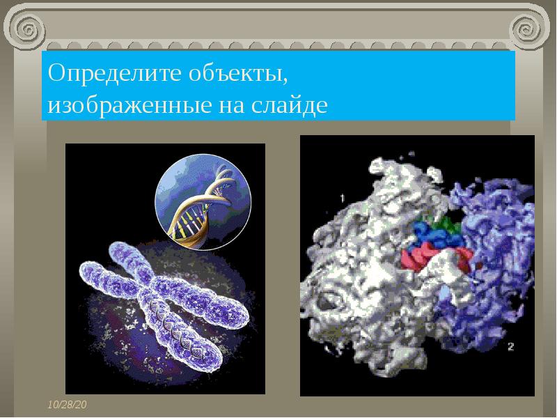 Определите объекты,
изображенные на слайде
