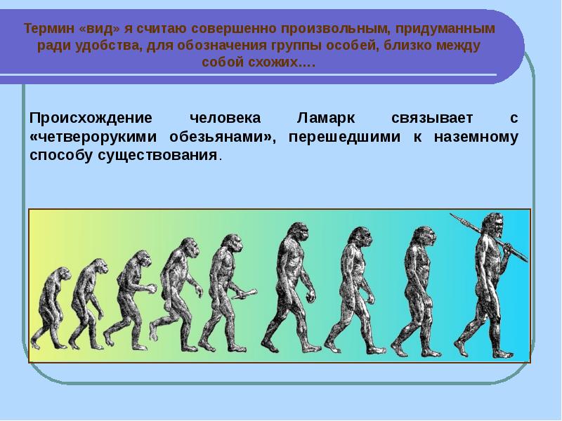 Эволюционное происхождение человека презентация 9 класс пономарева. Происхождение человека. Теория эволюции человека. Эволюционная теория человека. Ламарк происхождение человека.