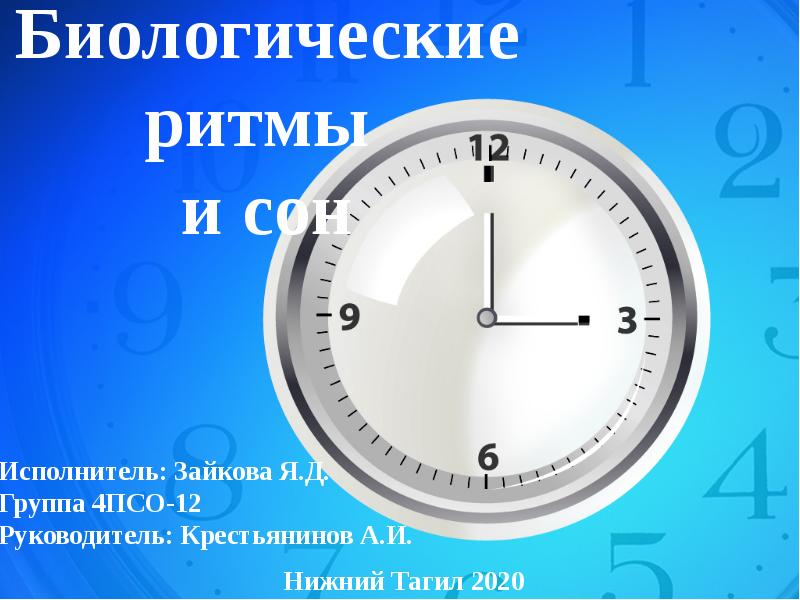 Биоритмы презентация 10 класс