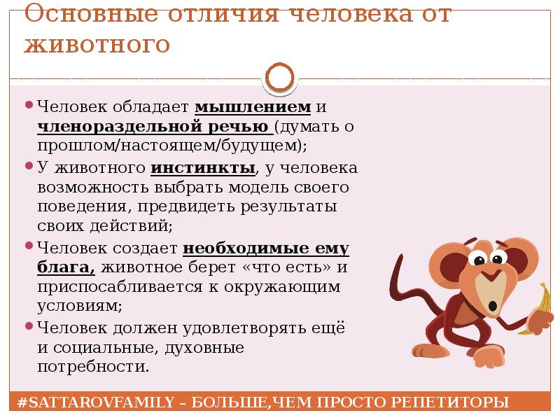 Основные отличия животных