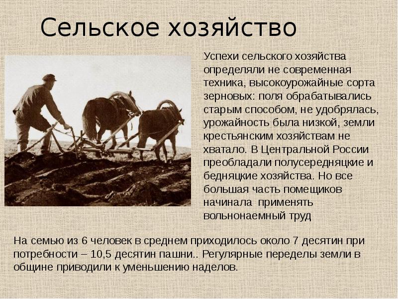 Как развивалось сельское хозяйство. Россия начало 20 века хозяйстве. Сельское хозяйство России 20 век. Сельское хозяйство в начале 20 века. Сельское хозяйство 20 века в России.