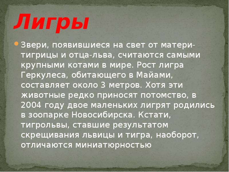 Презентация на тему гибриды