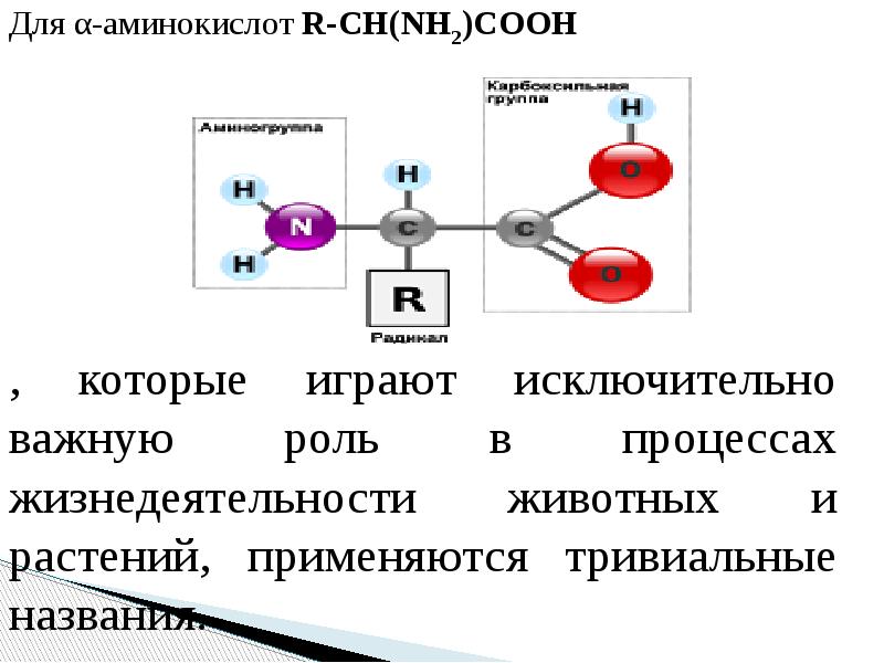 Аминокислоты презентация 10 класс