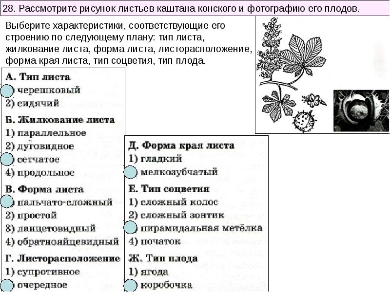 Выбери утверждение которое подходит к описанию рисунка