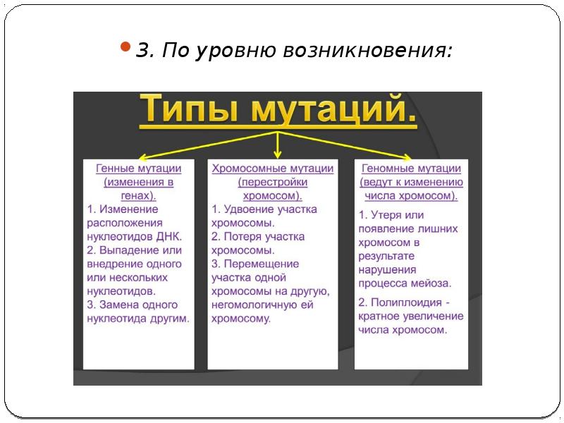 Проект мутации и их значение